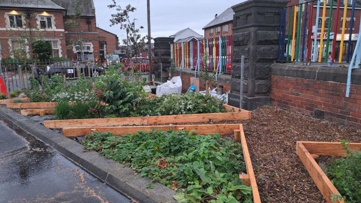 New community park opens at former school site in Hyde Park: Growing beds