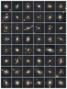 Euclid data image: A selection of strong gravitational lenses found in the new Euclid data. 

Image credit: ESA/Euclid/Euclid Consortium/NASA, M. Walmsley, T. Li, N. Lines, and Euclid SL SWG