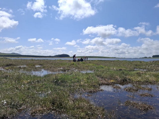Area of peatland restoration at Crowdy Marsh, Bodmin Moor