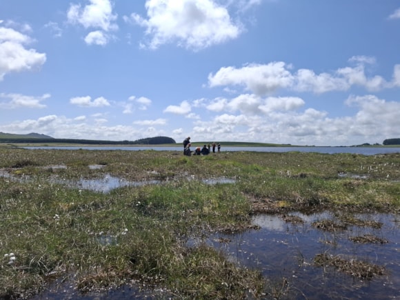 Area of peatland restoration at Crowdy Marsh, Bodmin Moor