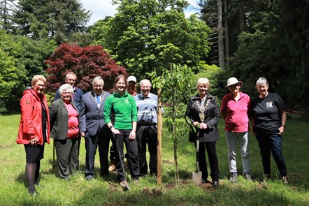 Jubilee Tree Planting Group
