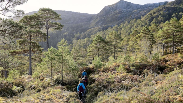 Scotland's hill-goers urged to plan ahead as key deer stalking period approaches