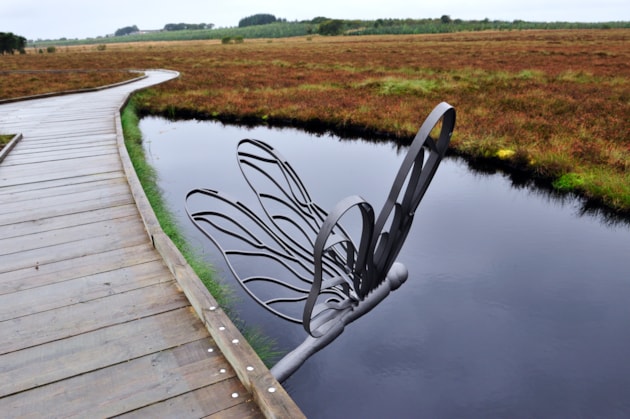 Blawhorn Moss ©Lorne Gill/NatureScot: Reflection of the dragonfly sculpture on the Blawhorn Moss NNR trail, West Lothian. ©Lorne Gill/NatureScot