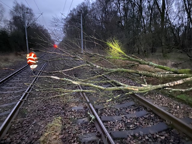 Storm Malik set to affect Scotland’s Railway: wind damage (Bishopton Dec 2021)
