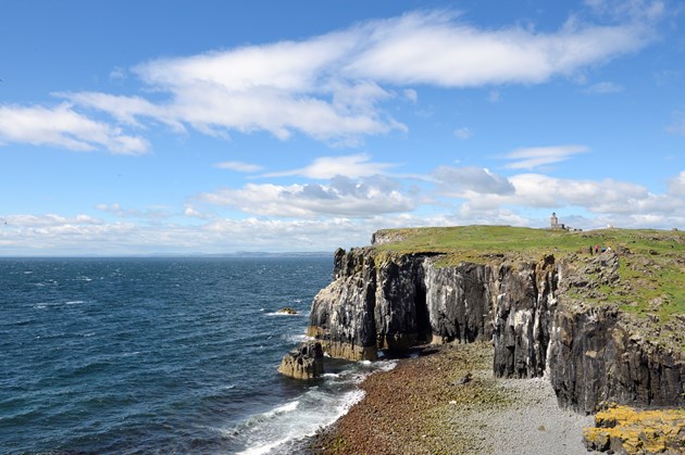 Isle of May National Nature Reserve ©Lorne Gill/NatureScot