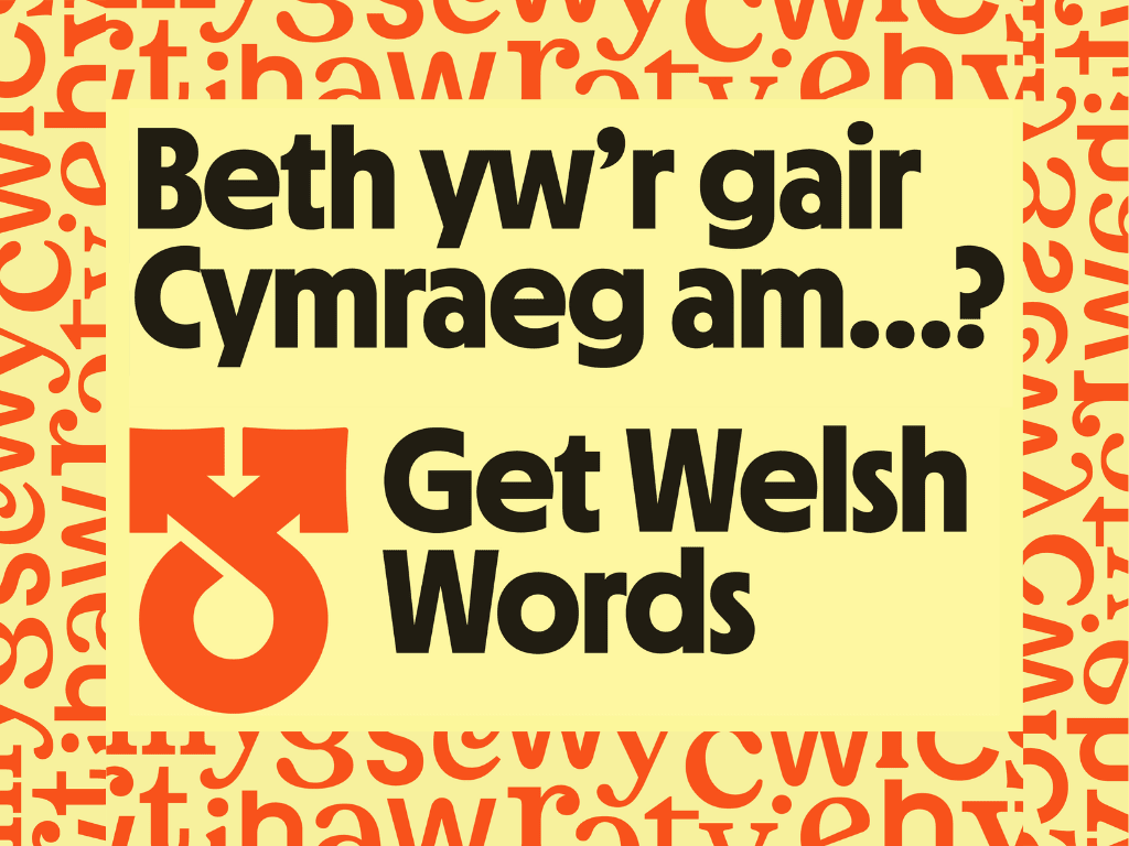 Get Welsh Words logo
