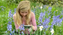 Young girl viewing plants through a mobile phone: Young girl viewing plants through a mobile phone