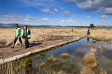 Peatland restoration demonstration day at Flanders Moss NNR ©Lorne Gill/NatureScot