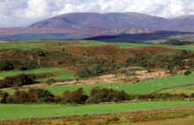 View north over farmland looking towards Cairnsmore of Fleet NNR ©Lorne Gill NatureScot: View north over farmland looking towards Cairnsmore of Fleet NNR ©Lorne Gill NatureScot