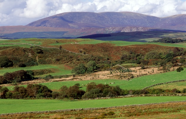 Habitat creation effort paying off at Cairnsmore of Fleet: View north over farmland looking towards Cairnsmore of Fleet NNR ©Lorne Gill NatureScot