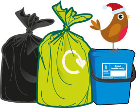robin-bins.jpg