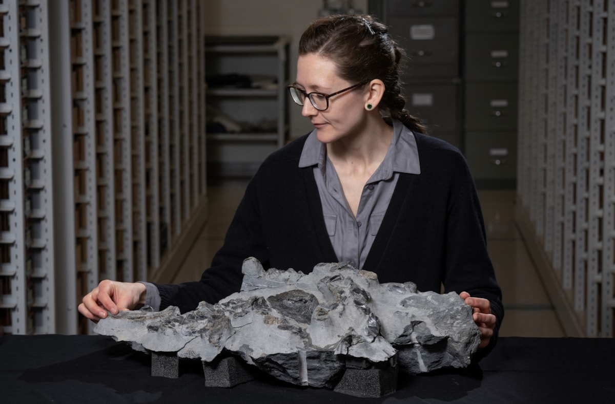 Dr Elsa Panciroli with the Elgol dinosaur fossil credit Neil Hanna 3