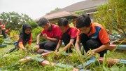 The Datai Pledge-EcoSchools Programme-Students planting in the school garden: The Datai Pledge-EcoSchools Programme-Students planting in the school garden