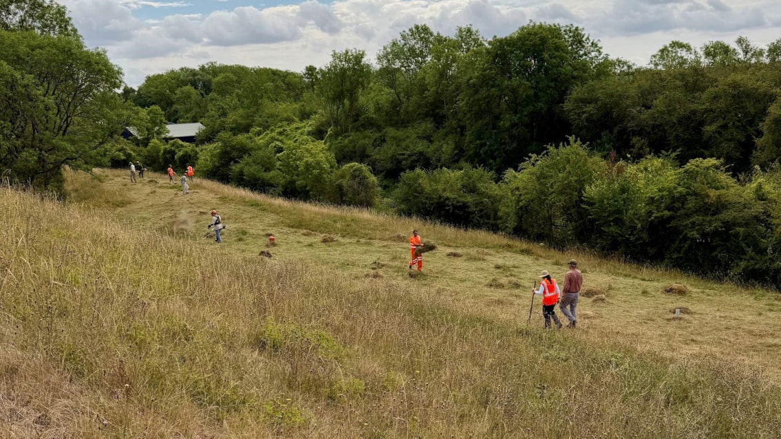 Harbury Butterfly Conservation donor meadow