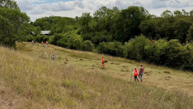 Harbury Butterfly Conservation donor meadow: Harbury Butterfly Conservation donor meadow