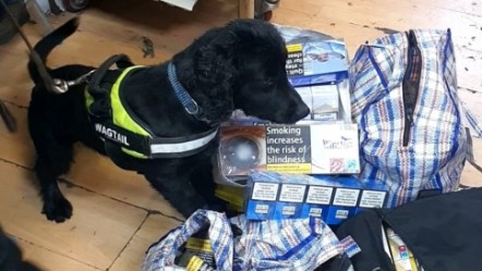 Cooper finds the illegal tobacco products