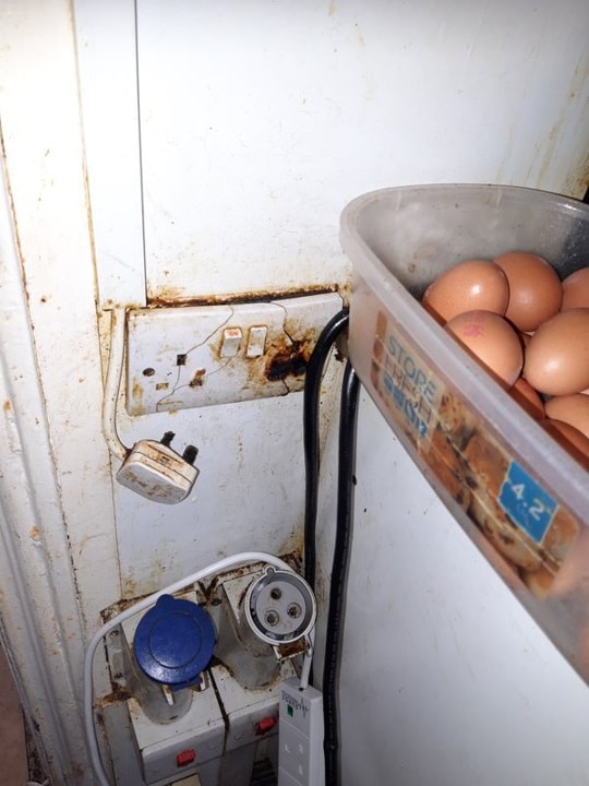 Emma's Sandwich 2: Image shows eggs in a dirty container, pictured next to a dirty, broken plug socket.