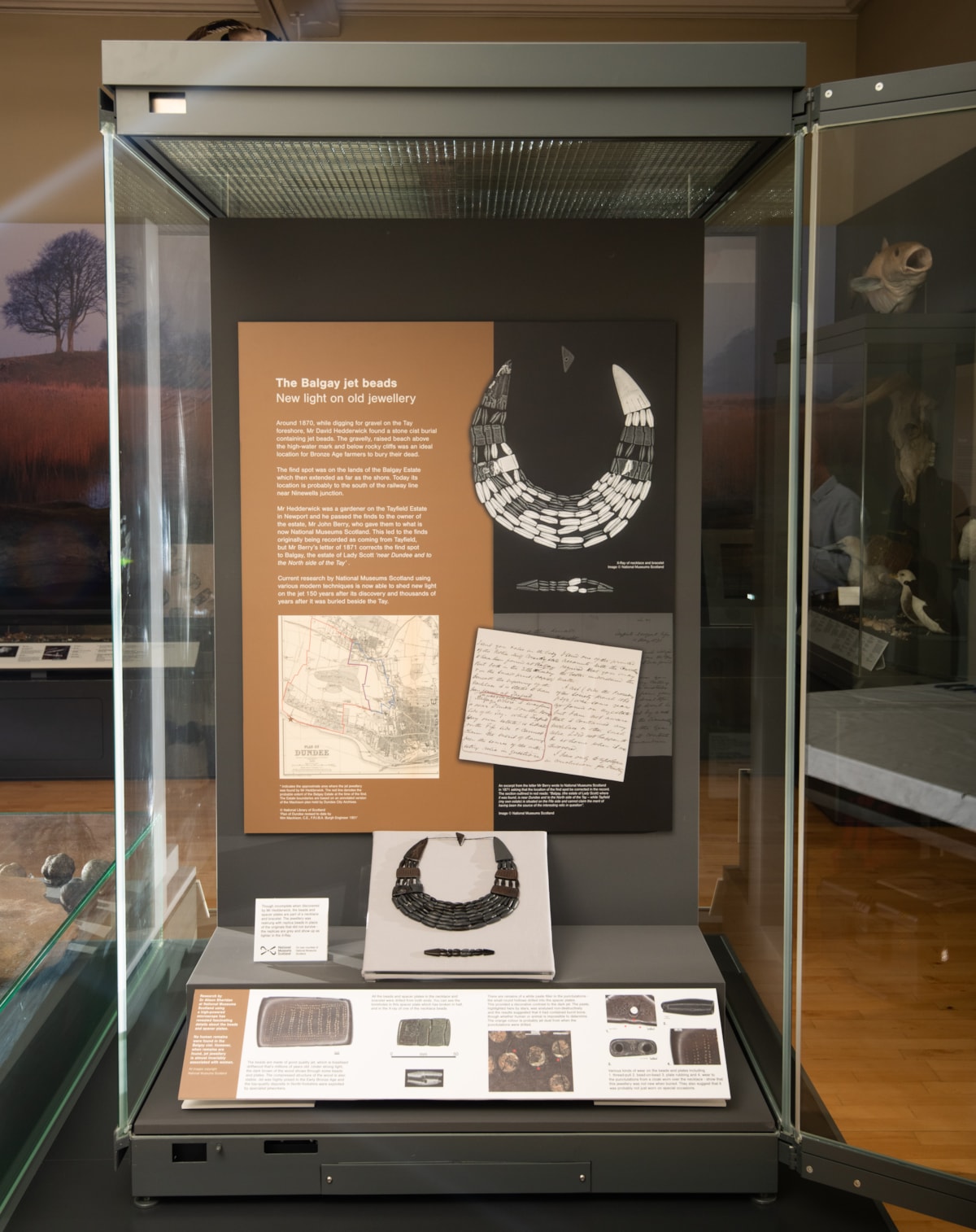 A 4000-year-old Bronze Age necklace has gone on display at The McManus in Dundee on laon from National Museums Scotland. Photo (c) Alan Richardson (1)