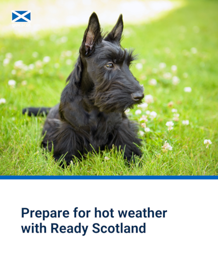 Scottie - Portrait - Hot Weather - SG Resilience - June 2025