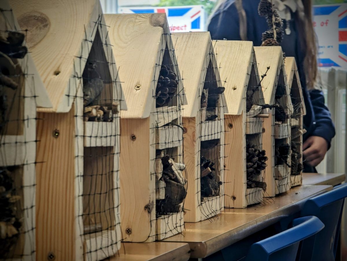 Alanbrooke school pupils make bug hotels with TPE (4)