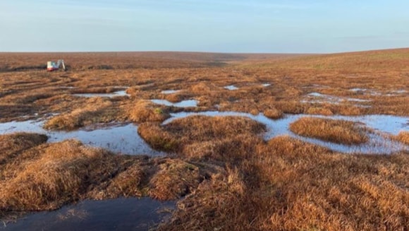 Peatland restoration resumes on Dartmoor as partnership launches new season of work:  SWPP-2