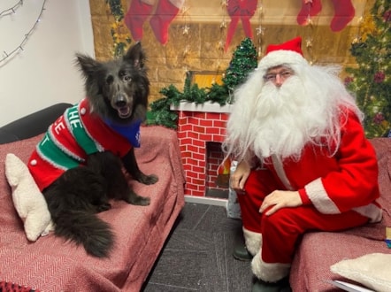 TPE therapy dog Nya with Santa