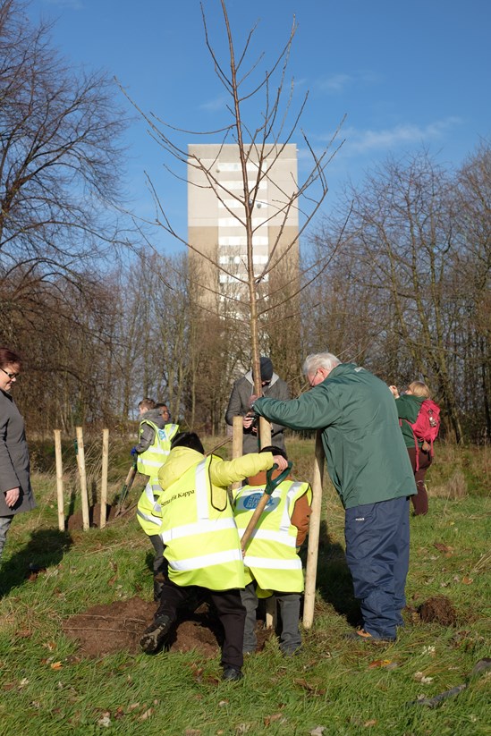 Trees for life Birmingham 00027: Trees For Life, environment, HS2 Community Environment Fund, HS2 Business and Local Economy Fund, CEF, BLEF, community engagement, Birmingham