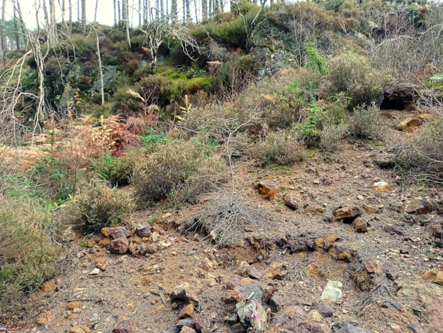 Evidence of mineral collecting at Talnotry Mine SSSI © Colin MacFadyen/NatureScot: Evidence of mineral collecting at Talnotry Mine SSSI © Colin MacFadyen/NatureScot