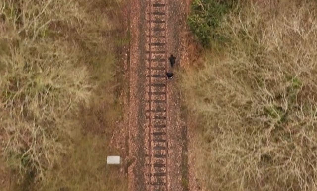 A trespass example on a disused railway 2
