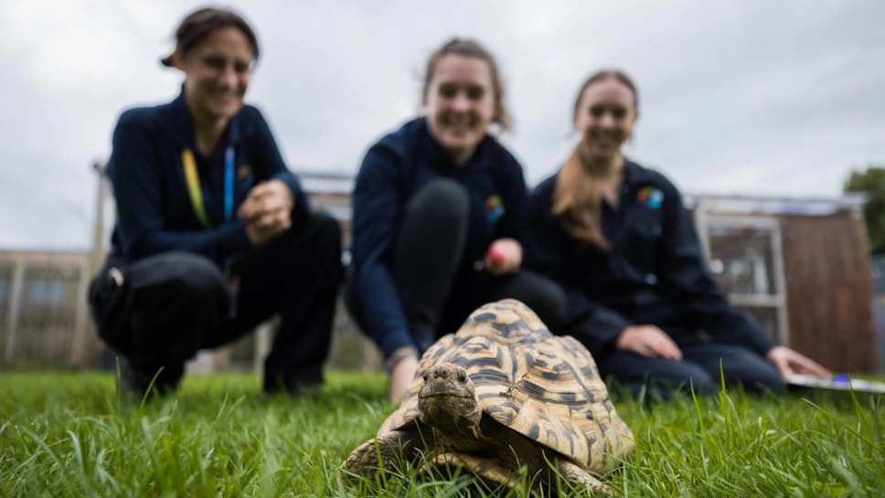 Coleg Cambria - Animal Centre 3