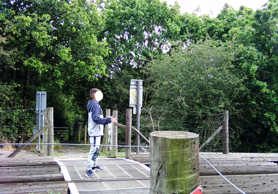 Anglia Brickfields level crossing misuse 2026 (3)