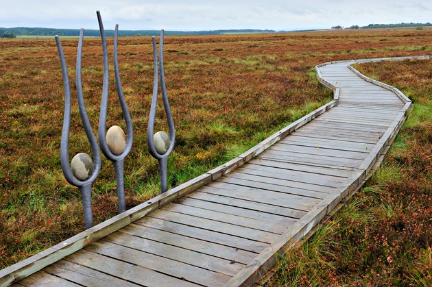 Blawhorn-D0568 jpg m19685 - Sculptures and raised walkway at Blawhorn Moss NNR, Forth and Borders Area.©Lorne Gill-SNH