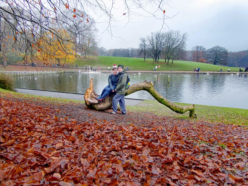 Lockdown love story comes true as parks team helps Leeds couple take a bough: Felled Willow Tree Iona and John