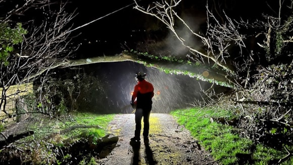 Storm Darragh: National Grid Electricity Distribution advises West Midlands customers ahead of storm: NGED storm 2