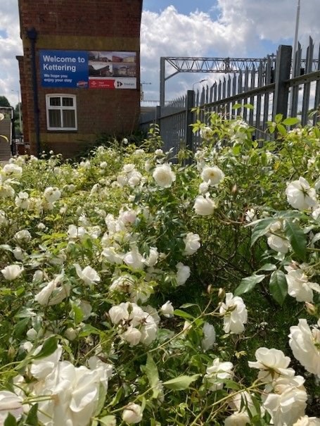 Kettering Rail Delivery Group News