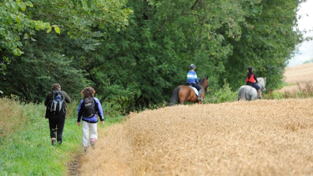 Scotland marks 20 years of world-leading access to the outdoors: NatureScot-435