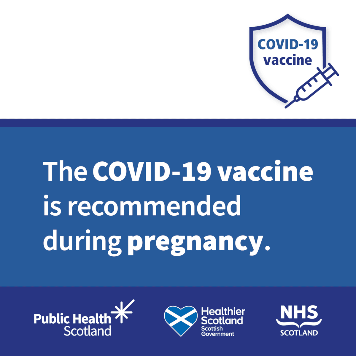 Vaccines in Pregnancy (COVID-19) November 2024