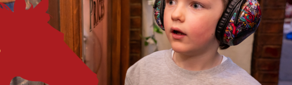 Year of the Horse at Abbey House Museum: Year of the Horse at Abbey House Museum