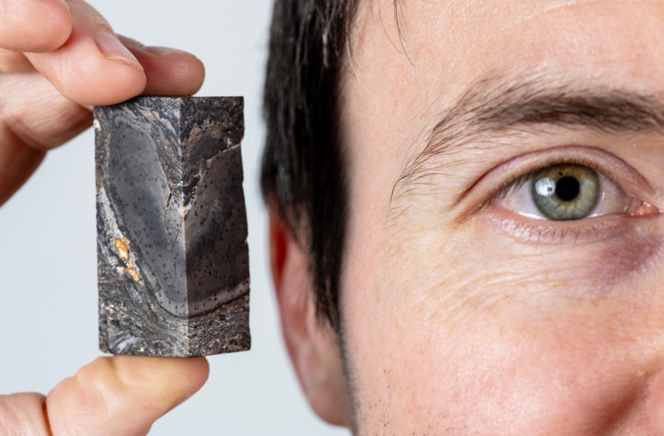 National Museums Scotland Research Associate Sandy Hetherington with sample of the 410 million year-old fossil of Prototaxites