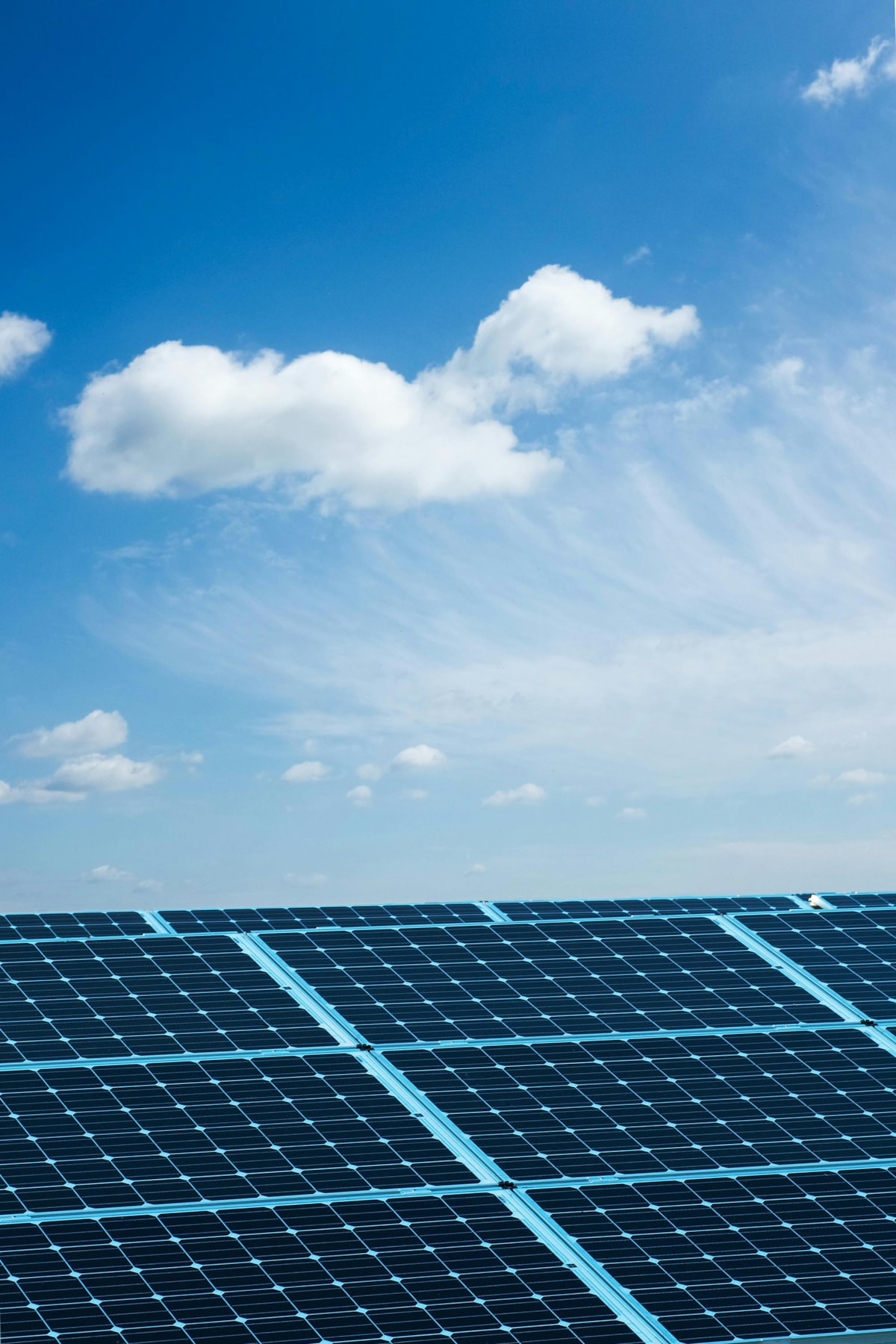 sunny solar array