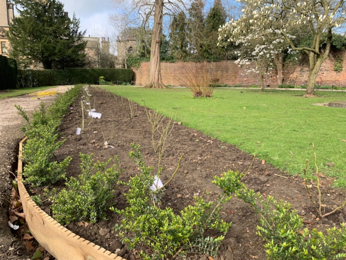 Walled garden restoration 2026: The walled garden at Lotherton Hall is currently being restored to its former glory. Those with an interest in keeping its memory alive can get involved by supporting a rose bush.
