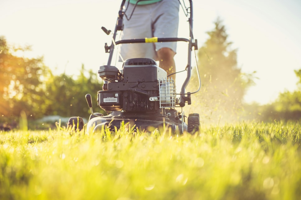 Grass cutting