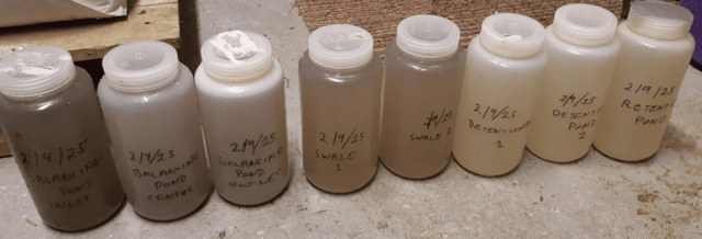 Wild Park Rainscape Water samples (c) The Living Coast - University of Brighton