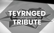 Tribute SOH News landing page latest preview image Bilingual: Tribute SOH News landing page latest preview image Bilingual
