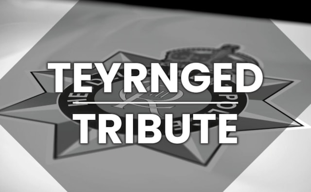 Tribute SOH News landing page latest preview image Bilingual