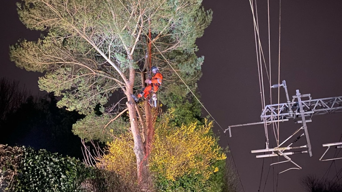 Teams to start £2m woodland management project set to reduce risk to vital Merseyside railway: Merseyside management