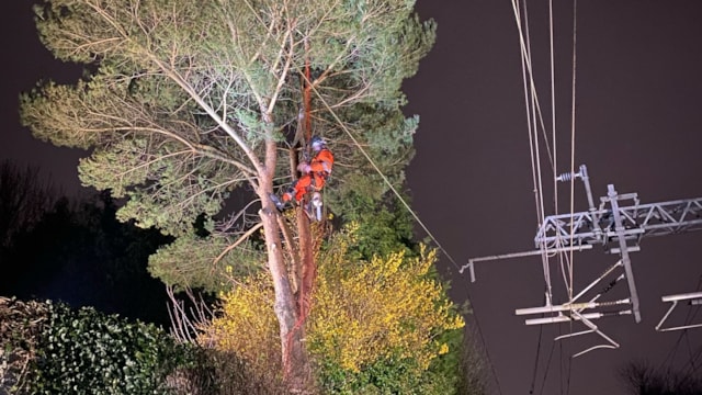 Teams to start £2m woodland management project set to reduce risk to vital Merseyside railway: Merseyside management