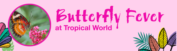 Butterfly Fever at Tropical World: Butterfly Fever at Tropical World