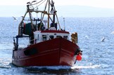 Freeze in effort a priority for Scottish fishing: Marine-fishing-trawler