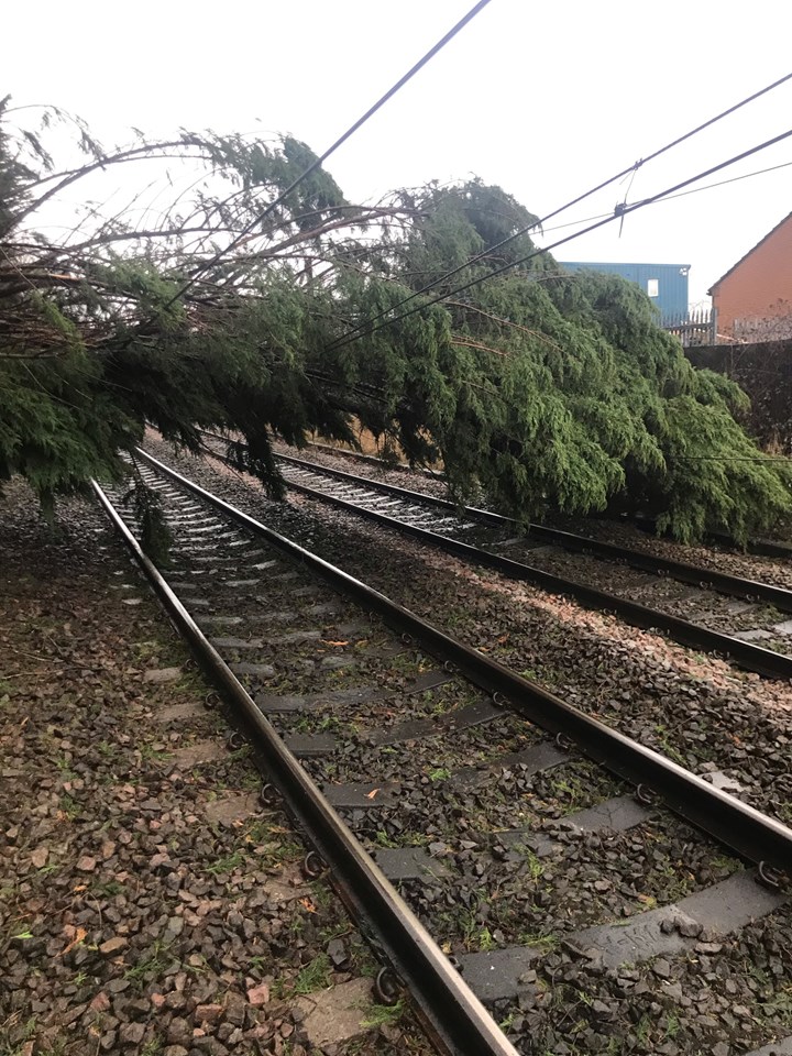 Storm Dudley: fallen tree cleared from railway in Keighley: Storm Eunice: Passengers advised not to travel in Yorkshire and the North East